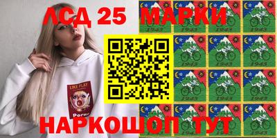 гашик Берёзовский