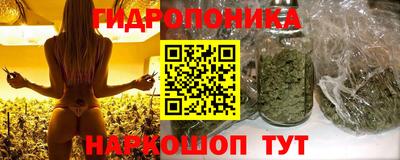 хмурый Бийск