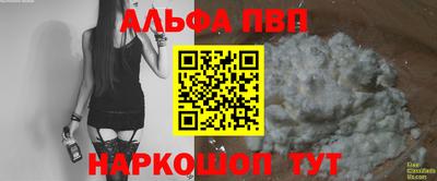 гашик Берёзовский