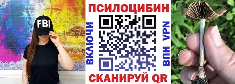 Галлюциногенные грибы Psilocybine cubensis  Джанкой 