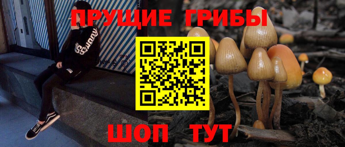 Галлюциногенные грибы GOLDEN TEACHER  хочу наркоту  Джанкой  Псилоцибиновые грибы Magic Shrooms  Вход с VPN 