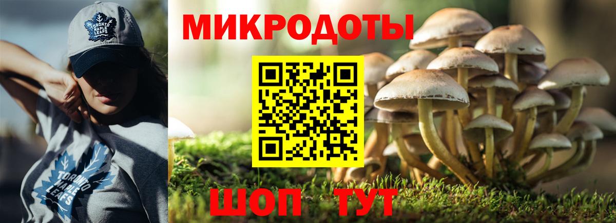 Псилоцибиновые грибы Magic Shrooms  Псилоцибиновые грибы Cubensis  сколько стоит  Джанкой 